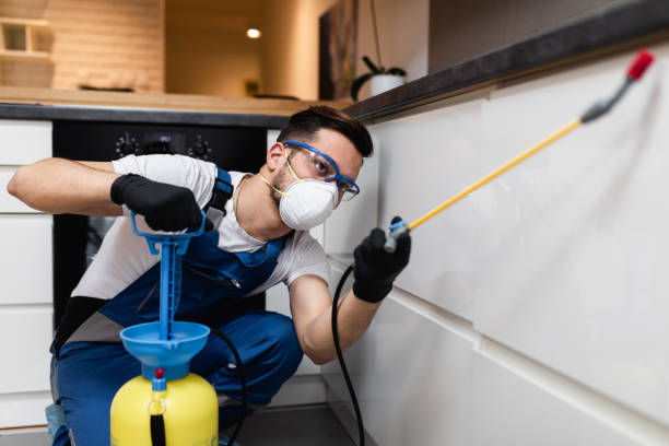 Best Pest Control Near Me in Harrisville, RI