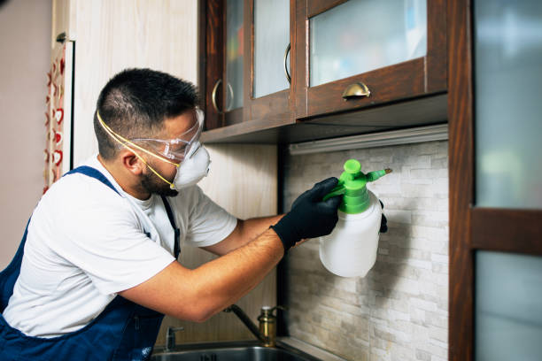 Best Rat Extermination Near Me  in Harsville, RI