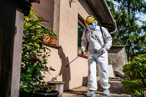 Professional Pest Control in Harrisville, RI