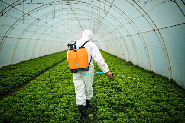 Reliable Harrisville, RI Pest Control Solutions