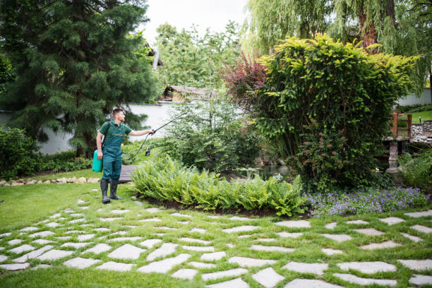 Best Pest Control Near Me  in Harsville, RI