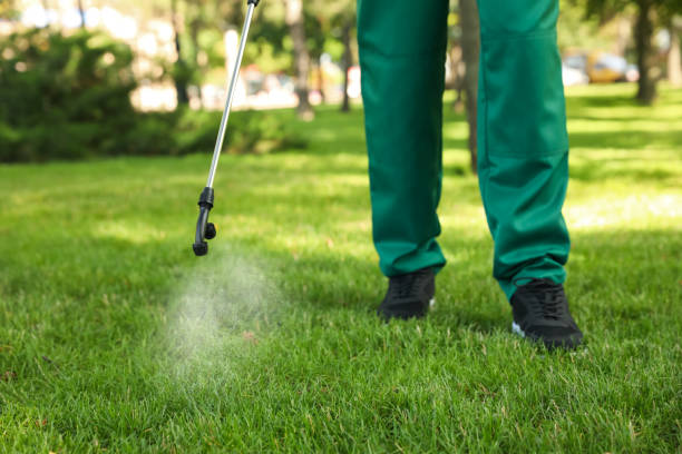 Best Pest Control for Homes  in Harsville, RI