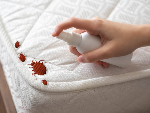 Pest Control Cost in Harrisville, RI