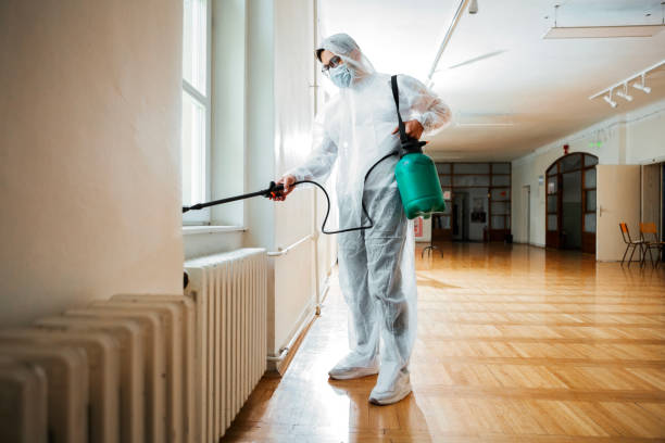 Best Pest Control Near Me  in Harsville, RI
