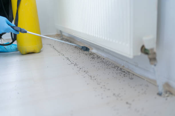 Best Emergency Pest Control  in Harsville, RI