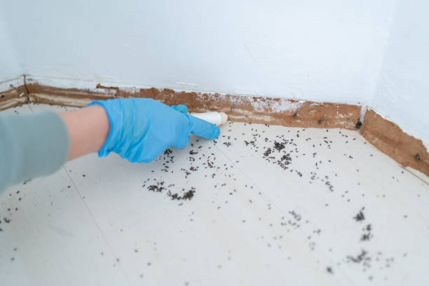 Best Pest Prevention Services  in Harsville, RI